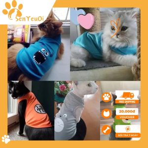 quần áo mùa hè chó mèo