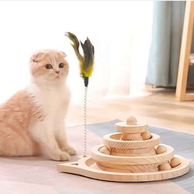 cách làm đồ chơi cho mèo đơn giản