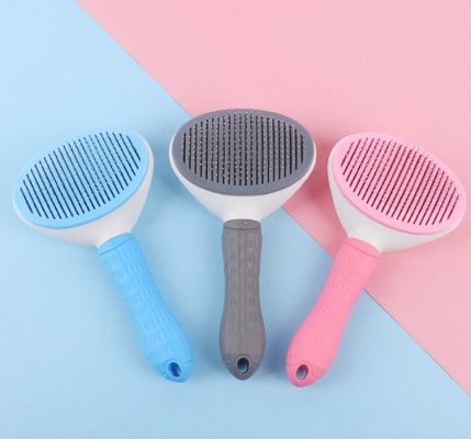 Cách làm lược chải lông mèo tại nhà